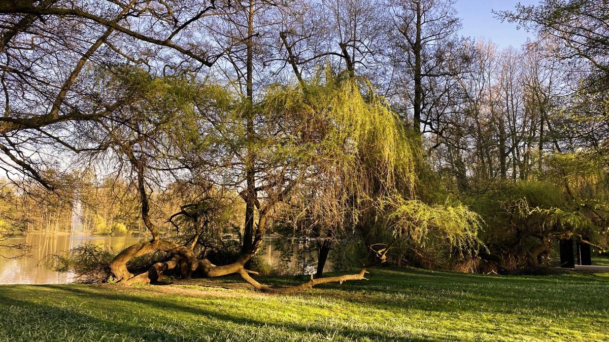 Zámecká zahrada Teplice